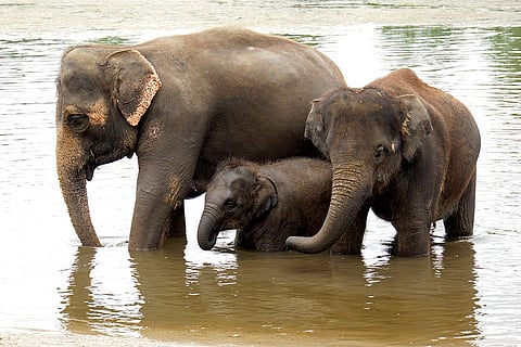Courtesy: Dennis Jarvis; Source: Flickr