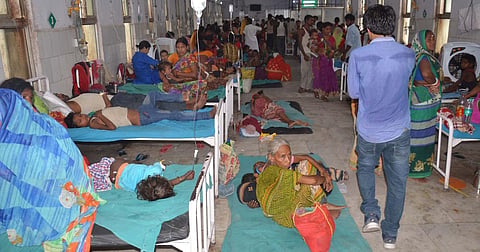 Representational Image. Image Courtesy: IANS