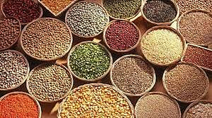 ECA, 2020 Overlooks Food Security and Farmers’ Rights in a Win for Agri-Businesses and Exporters