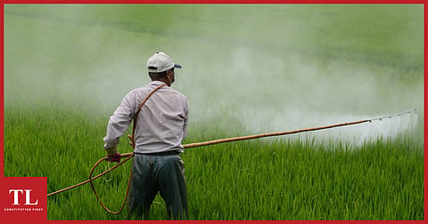 Study Says 64% of World’s Farmland at Risk of Pesticide Pollution