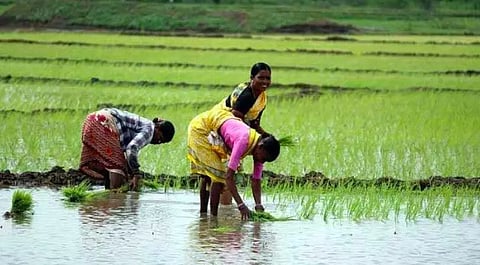 Representational Image. Image Courtesy: Telangana Today
