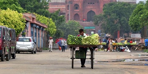 Street vendors have a fundamental right to vend, but with restrictions, says Delhi HC