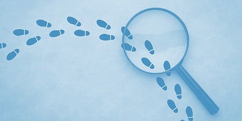 Legitimacy of private detective services: questions over regulation, privacy and State’s obligations