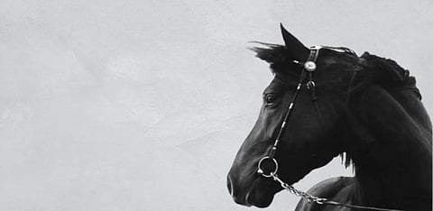 Horse trading