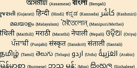 Celebrating multilingual India: Language rights in perspective