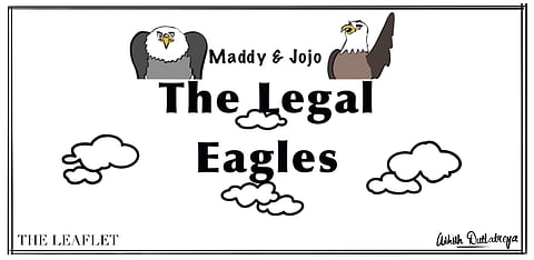 Maddy & Jojo: The Legal Eagles