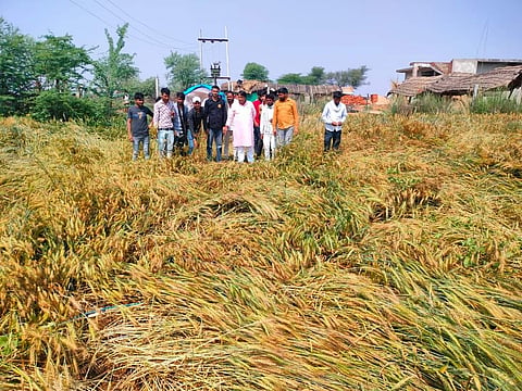 किसानः असमय बारिश और ओलावृष्टि से फसल खराब, किसानों की बढ़ी चिंता