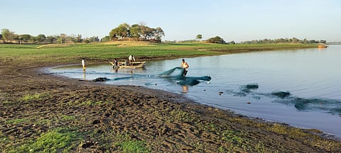 अधिकांश जनजाति समुदाय से छोटे स्तर के मछलीमार हैं और केवल मत्स्याखेट आधारित आजीविका से ही उनका  साल भर का गुजारा नहीं होता। 