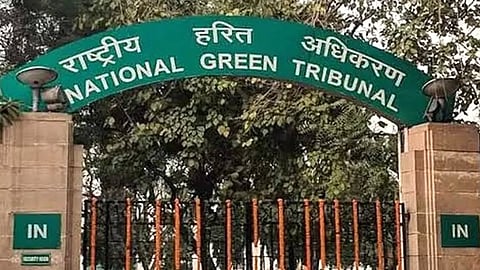मध्य प्रदेश: ग्रीन बेल्ट में 600 से ज्यादा कब्जे, एनजीटी के निर्देश के बाद भी धीमी कार्रवाई 
