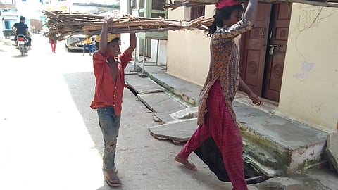 पन्ना शहर में लकड़ी बेचने निकले आदिवासी बच्चे। 