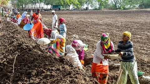 UP: दीपावली का त्यौहार बीत गया, मनरेगा श्रमिकों की नब्बे लाख रुपए बकाया मजदूरी नहीं मिला!