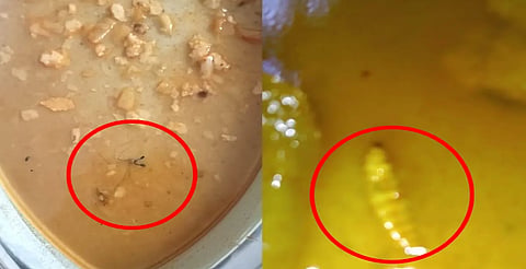 डूंगरपुर में आदिवासी बालिकाएं सड़ा-गला खाना खाने को मजबूर, बाप सांसद ने TAD मंत्री को कहा- "धर्म का चूर्ण खाकर सोये मत रहो..."