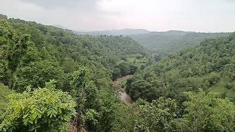 सतपुड़ा के जंगल 