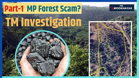 TM Investigation: MP में जंगल घोटाला! 1400 हेक्टेयर खनन, 6 लाख पेड़ों की कटाई और ‘जंगल निर्माण’ के नाम पर बड़ा खेल? Exclusive