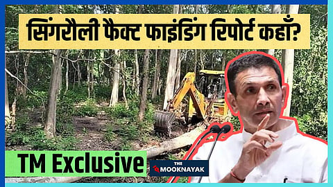 TM Exclusive: सिंगरौली में पेड़ों की कटाई पर कांग्रेस की फैक्ट फाइंडिंग रिपोर्ट कहां है! क्यों खामोश हो गई पार्टी?