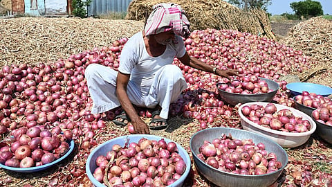 Maharashtra onion farmer protest