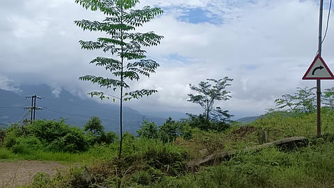 Kohima To Manipur Road