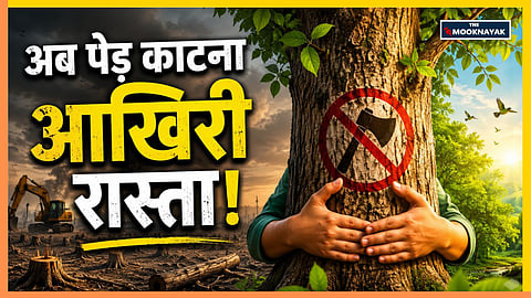 MP Tree Translocation Policy 2026: अब विकास के नाम पर नहीं कटेंगे पेड़! MP सरकार का बड़ा फैसला