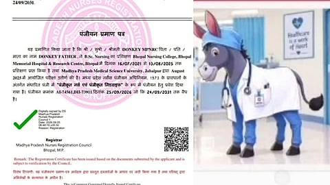 गधे की फोटो लगाकर कराया नर्सिंग रजिस्ट्रेशन, एमपी नर्सेज काउंसिल ने जारी कर दिया डिजिटल प्रमाणपत्र