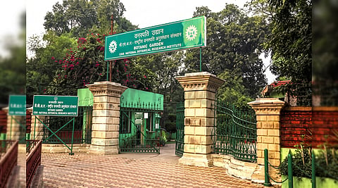CSIR NBRI project, medicinal plant conservation, tribal livelihoods