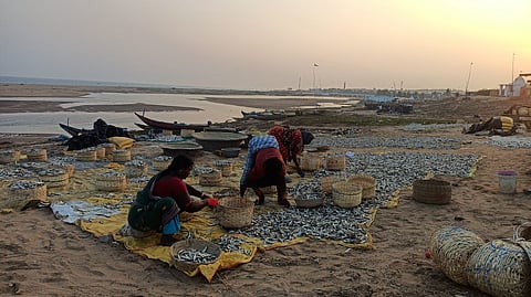 Budget 2024: Another Blow to Marine and Inland Traditional Fisherfolk of India