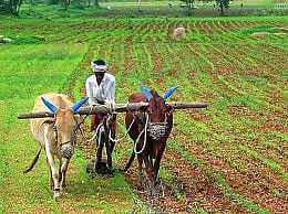 India's New Government Faces Job Creation Challenge
