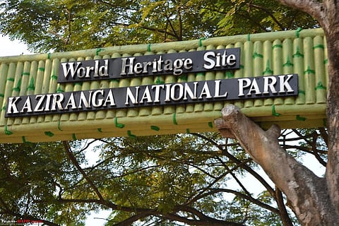 Discovery of New Wildlife: How Kaziranga National Park Plays Vital Role in Indian Biodiversity Preservation