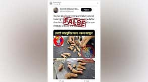 These images of prosthetic fingers are from Japan and are not related to the 2024 Lok Sabha elections
