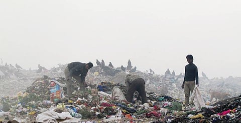 Informal workers risk health hazards to pick waste at Delhi's Ghazipur landfill.