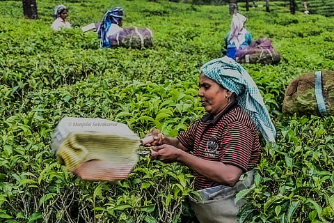 As the lease expiry looms, the future of thousands of workers  hangs in the balance, with their hopes pinned on the state government's intervention to secure their homes and livelihoods.