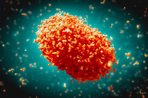 India's Risk of Monkeypox Outbreak Remains Low, Says Official