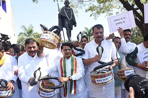  The Congress accused the government of "biting the youth like a snake" instead of providing them with jobs.