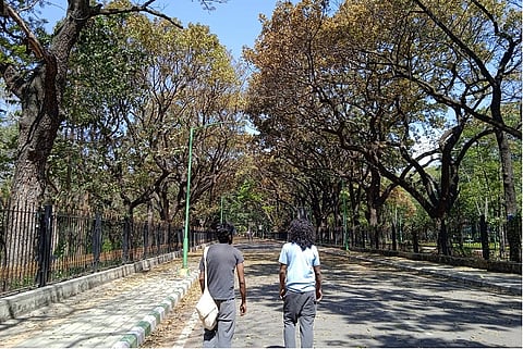 Representative image, Cubbon Park