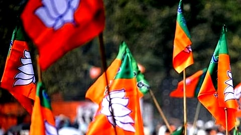 BJP flags