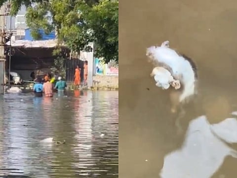 West Kamarajar Nagar, Thoothukudi
