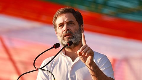 MP Rahul Gandhi