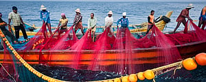 CMFRI proposes central legislation for regulation of fishing beyond territorial waters