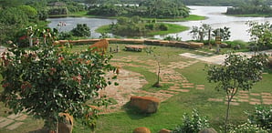 Image for Representation