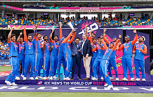 Celebrities say cheers to 'Cup of Joy' as Team India end trophy drought