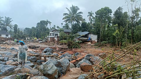 Wayanad landslides: Death toll crosses 150, rescue efforts resume 