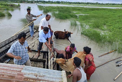 Image courtesy: Humanitarian Aid International
