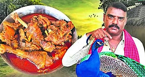Telangana YouTuber detained for making ‘peacock curry’ video
