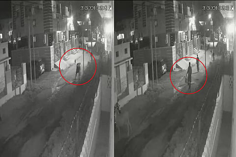 CCTV footage showing an unidentified man feeding dogs poisoned food.