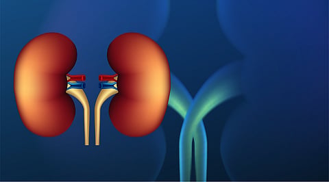Pioneering Hope: The First HIV-Positive Renal Transplant in Delta Tamil Nadu