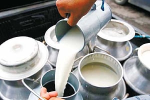 Cans of milk