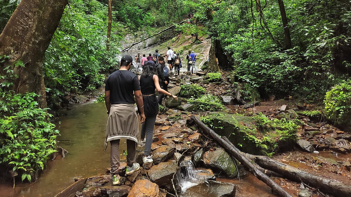 Trekking in the Western Ghats