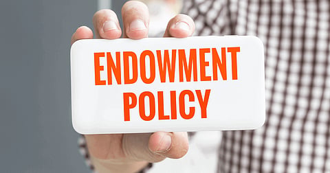 What is an Endowment Plan?