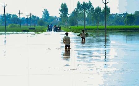 Punjab minister urges Centre for Rs 50,000 per acre relief for crop loss