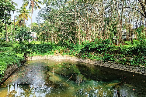 A pond in Thiruvananthapuram from where a boy was infected with amoebic encephalitis