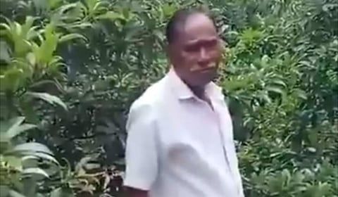 A medium close-up of an older man in a white collared shirt standing outdoors. He is facing slightly to the right of the camera with a somewhat neutral or contemplative expression. He has a receding hairline and is positioned in front of a dense backdrop of green foliage and leaves, likely in a garden or wooded area. The lighting is natural and appears to be slightly overcast.